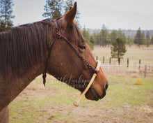 Load image into Gallery viewer, Bosal Hanger - Side Attachment