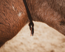 Load image into Gallery viewer, Bosal Hanger - Side Attachment