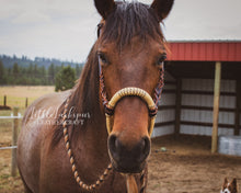 Load image into Gallery viewer, Bosal HANGERS
