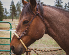 Load image into Gallery viewer, Bosal HANGERS
